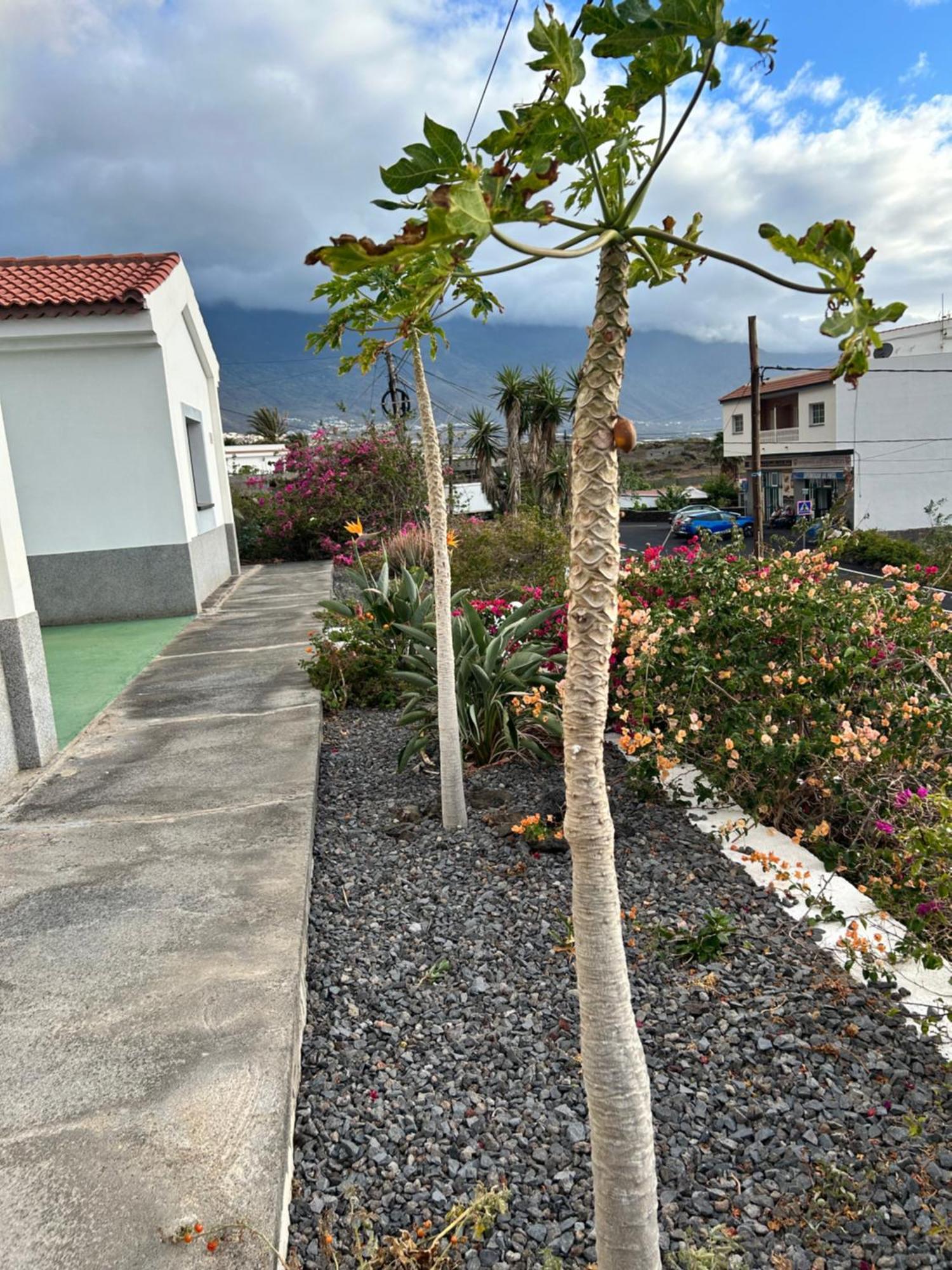 Casa Atilano Las Puntas La Frontera El Hierro Exterior foto